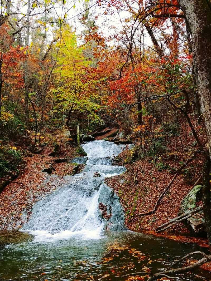 Mini Cascades That Build the Most Delicious Anticipation