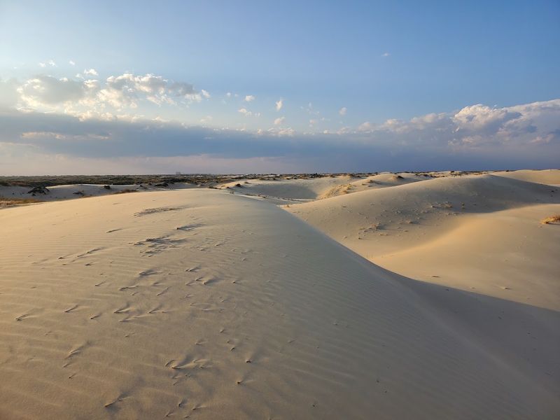 Monahans Sandhills State Park Monahans Sandhills State Park