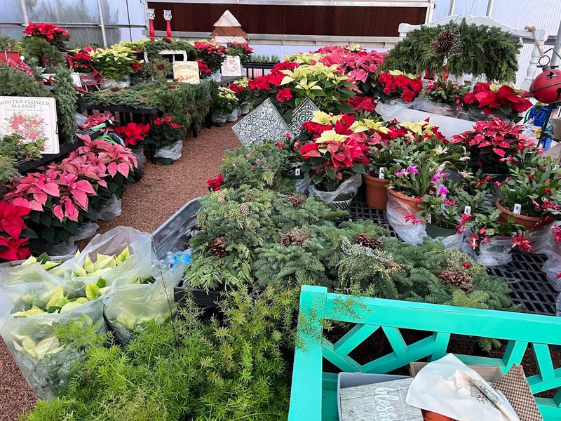 More Than A Quick Flower Stop