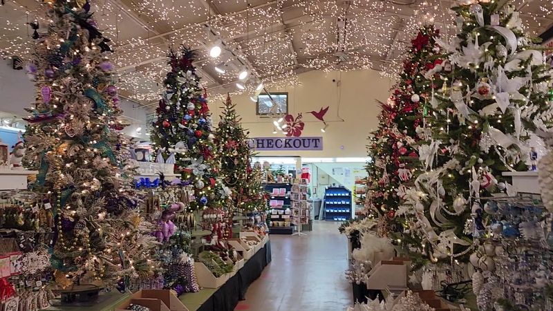 More Than Just Plants, A Complete Garden Shop More Than Just Plants, A Complete Garden Shop