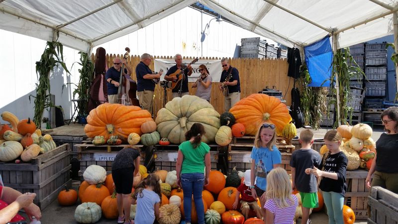 More Than Shopping, It's a Community Gathering