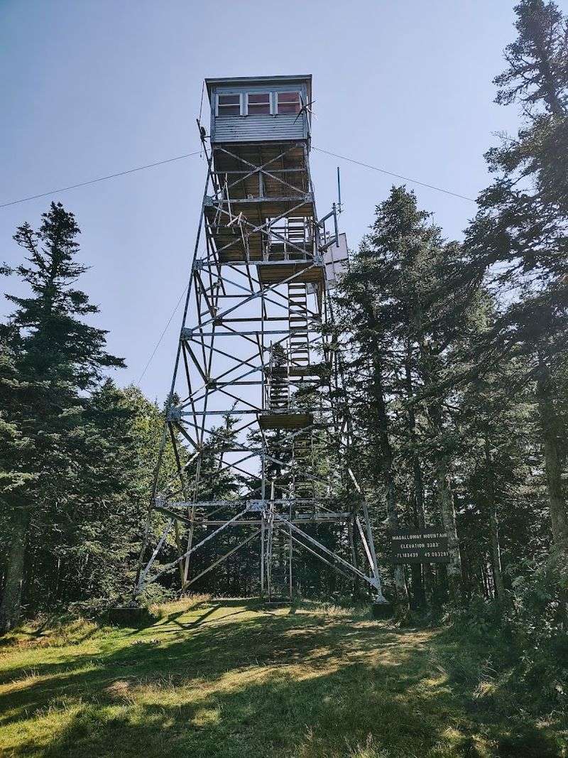 Mount Magalloway – 3,383 ft, Pittsburg, NH Mount Magalloway – 3,383 ft, Pittsburg, NH