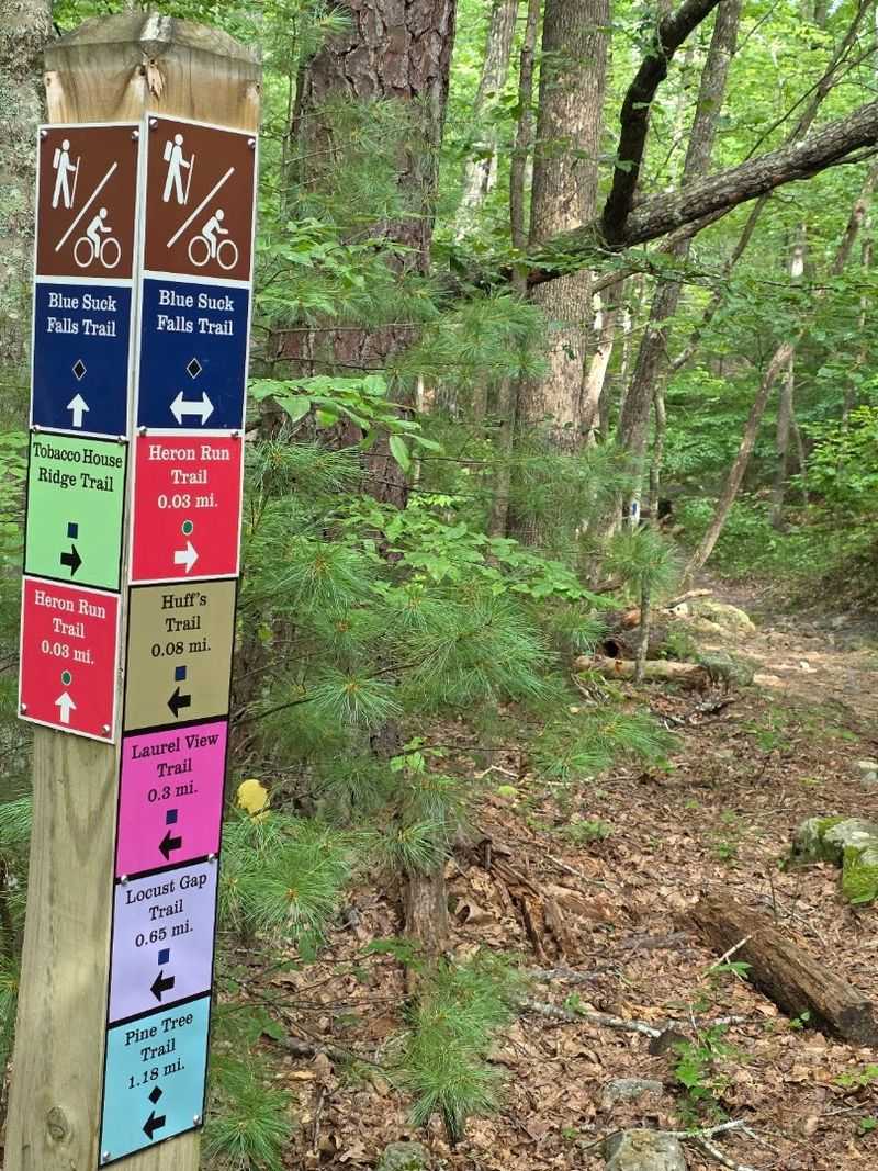 Mountain Biking Culture at Douthat State Park Mountain Biking Culture at Douthat State Park
