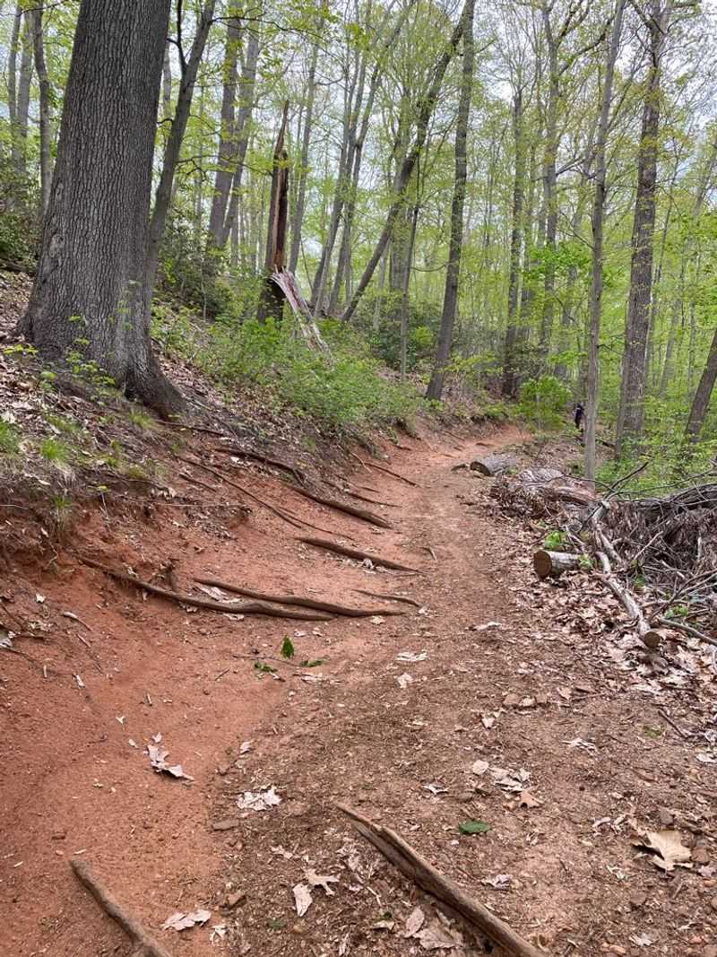 Mountain Biking on Steep, Thrilling Terrain Mountain Biking on Steep, Thrilling Terrain