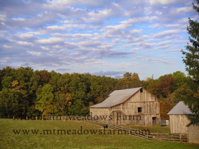 Mountain Meadow Farm Mountain Meadow Farm