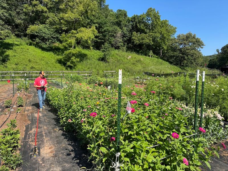 Muddy Mountain Flower Farm LLC