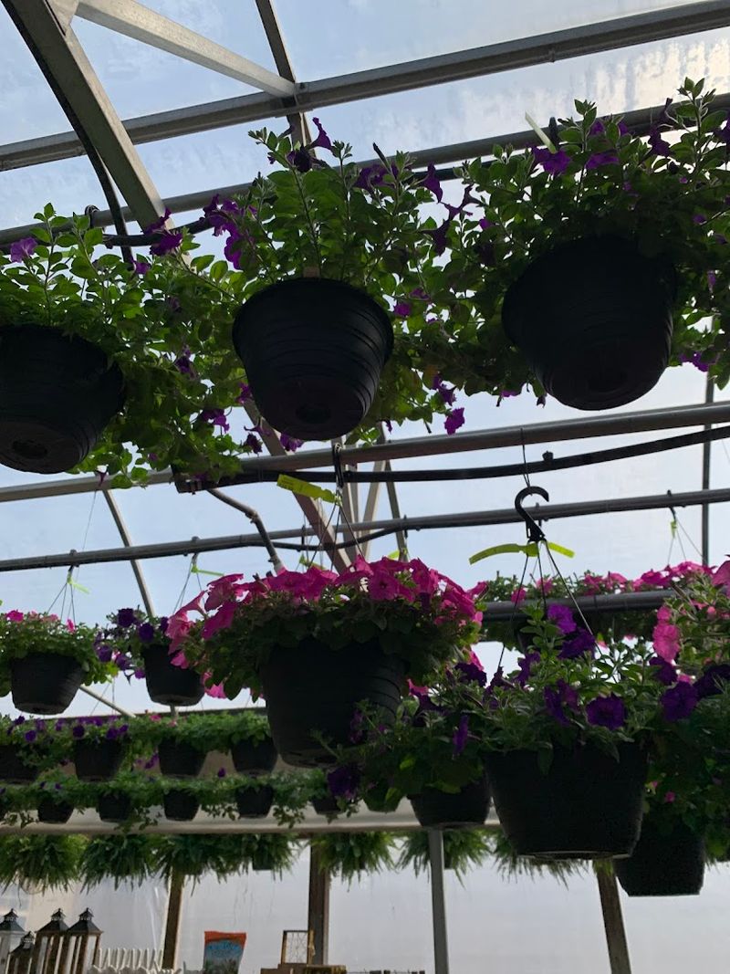 Mulch and Garden Supplies That Actually Work Mulch and Garden Supplies That Actually Work