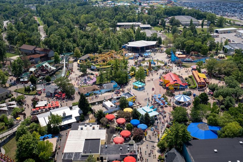 Mystic Timbers And The Park's Wooden Soul Mystic Timbers And The Park's Wooden Soul