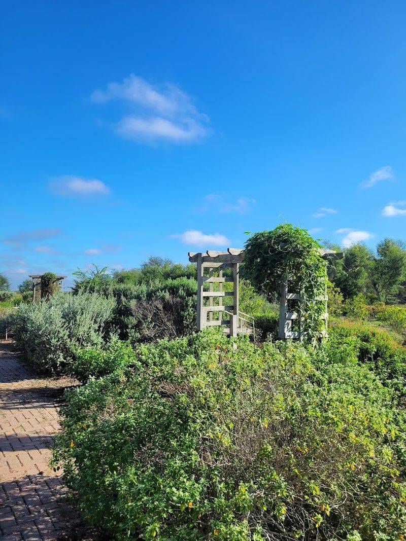 Native Plants, Gardens, and the Habitat That Makes It All Work Native Plants, Gardens, and the Habitat That Makes It All Work