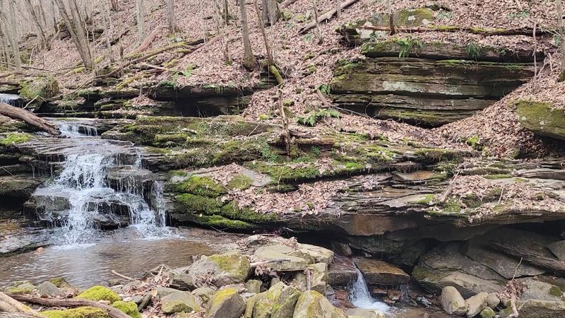 Nature Packs Surprises Into a Short Stroll