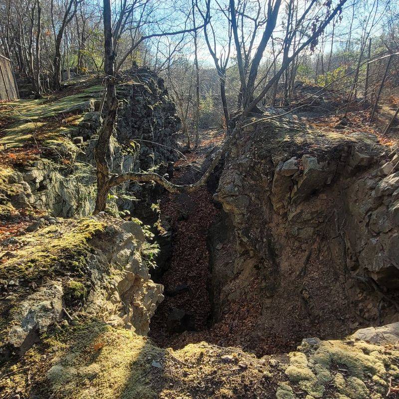 Nature Reclaims What Industry Left Behind
