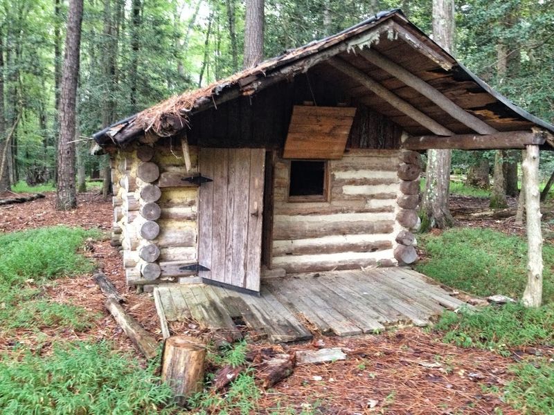 Nature Trails Through Ancient Bottomland and Towering Trees