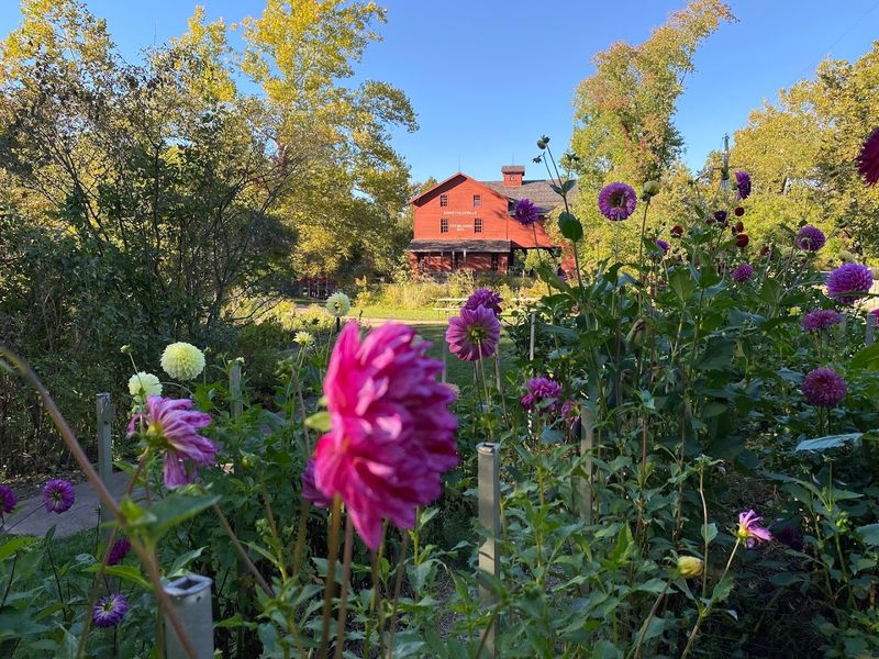 Nature's Canvas: Gardens, River Views, and an Observation Tower Nature's Canvas: Gardens, River Views, and an Observation Tower