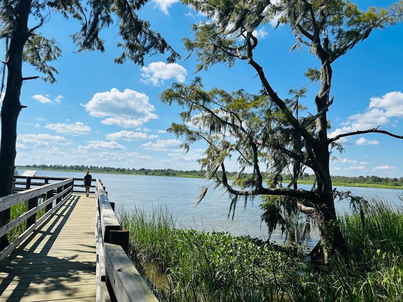 Nature's Embrace: Wildlife and Scenic Trails