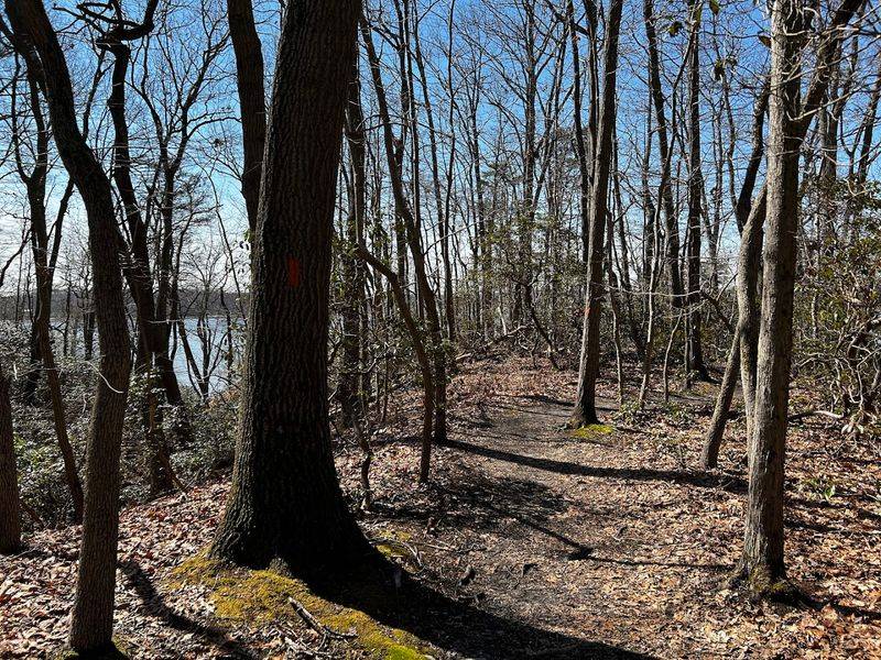 Navigating the Scenic Trails Navigating the Scenic Trails