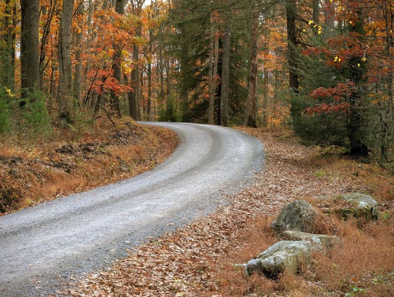 Nearby Adventures Worth Adding to Your Trip