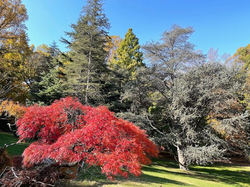 Nearly 3,000 Specimens Showcase Global Plant Life Nearly 3,000 Specimens Showcase Global Plant Life