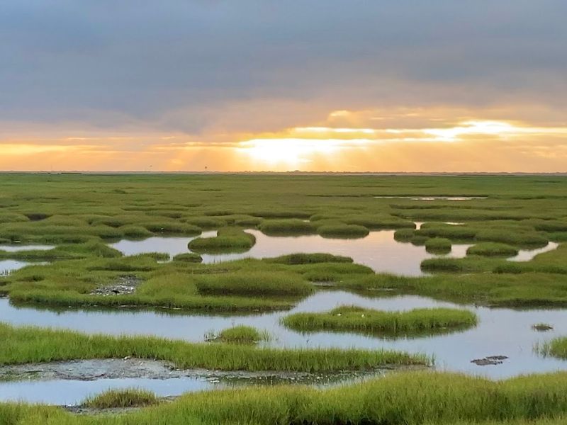 Nearly 6,000 Acres of Salt Marsh Serenity Nearly 6,000 Acres of Salt Marsh Serenity