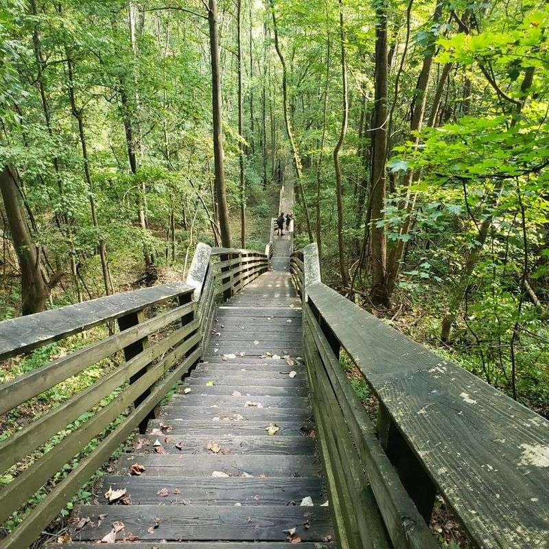 Nine Hundred Feet Down And Every Step Counts Nine Hundred Feet Down And Every Step Counts