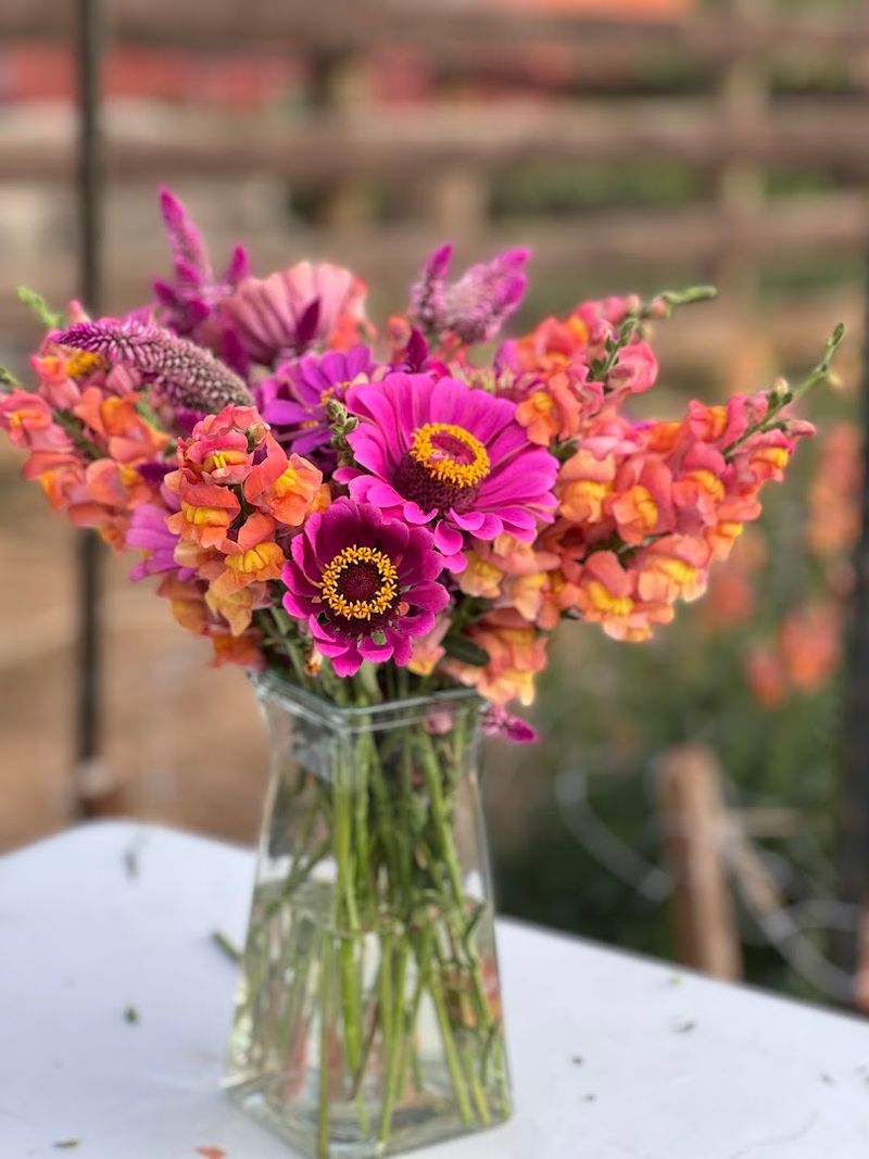 Nipetown Hollow Farm (Honey Moon Apiary LLC)