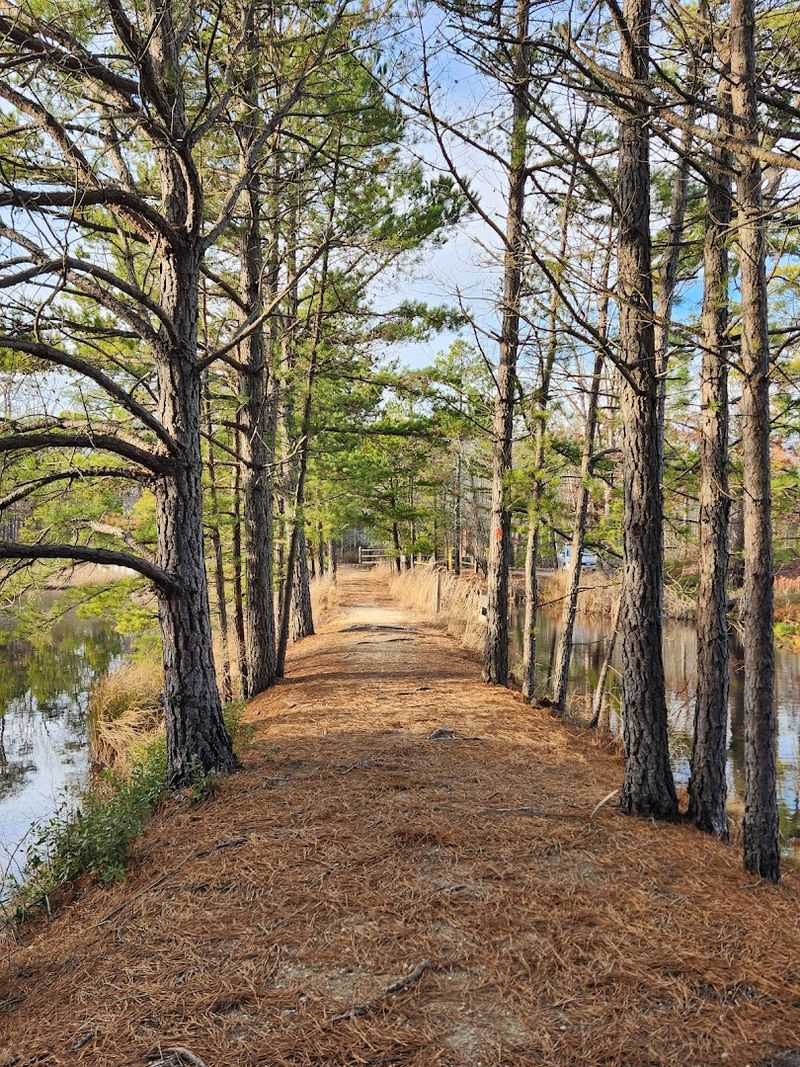 Not Your Average County Park Stroll