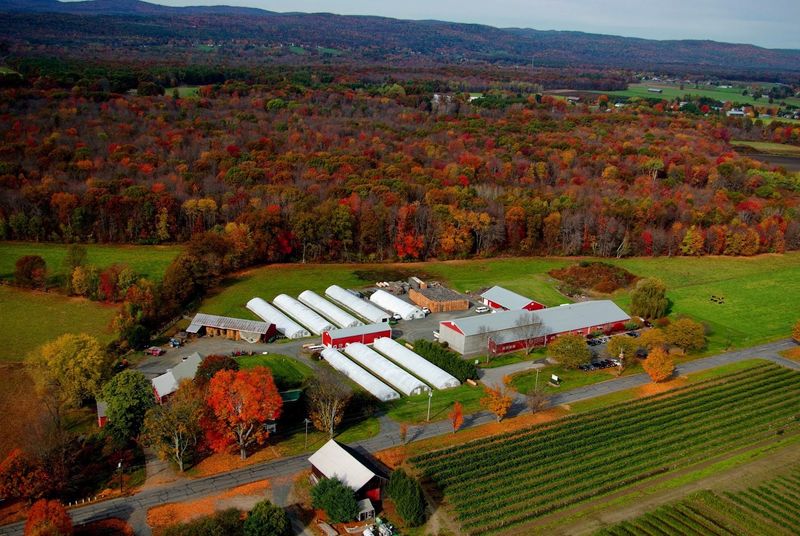 Nourse Farms in Whately, MA