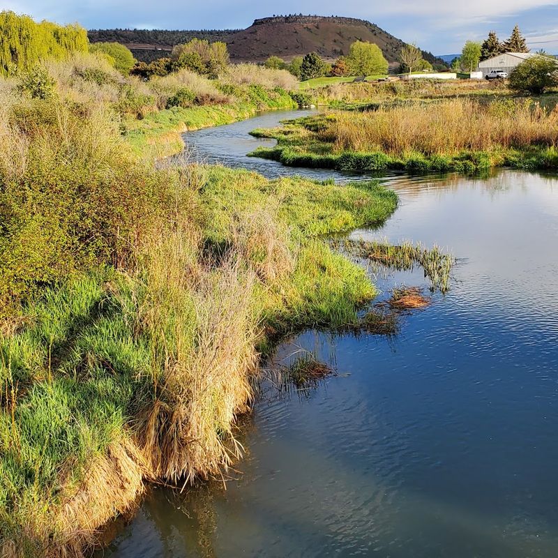 Ochoco National Forest Trails and Hidden Meadows Ochoco National Forest Trails and Hidden Meadows