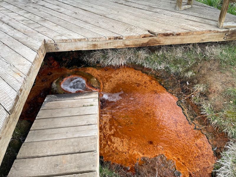 Octagon Springs (Warm Springs)
