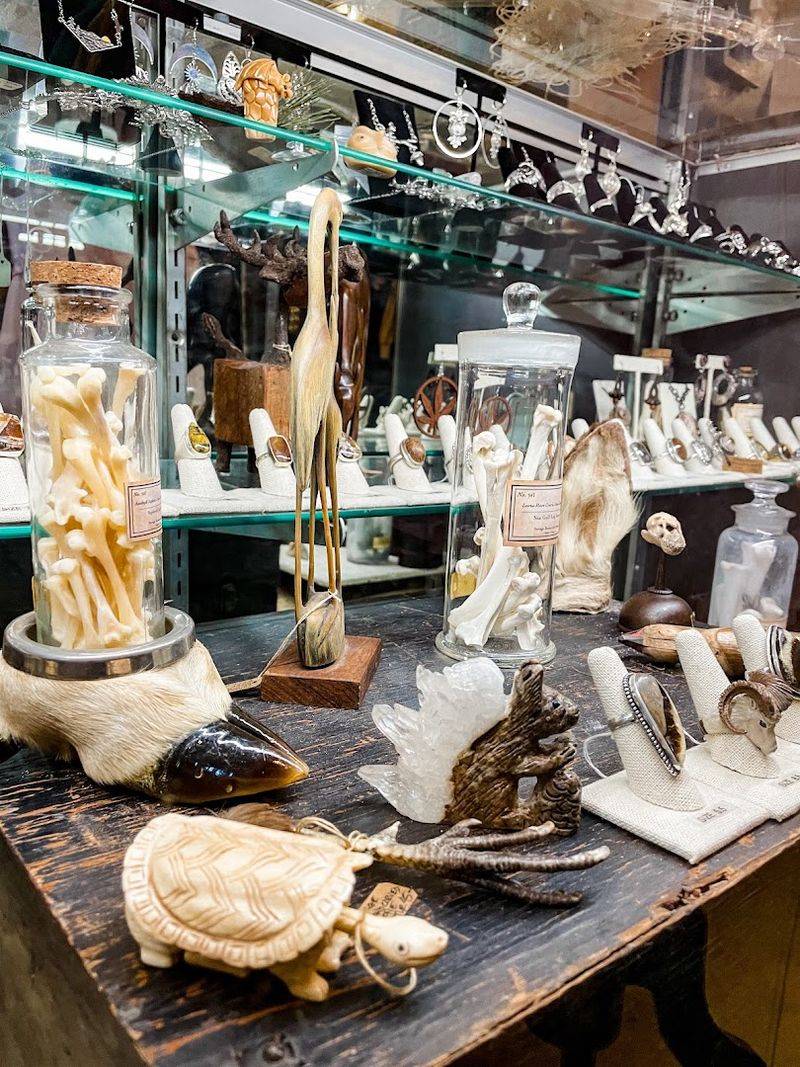 Oddities and Curiosities That Will Make You Look Twice Oddities and Curiosities That Will Make You Look Twice
