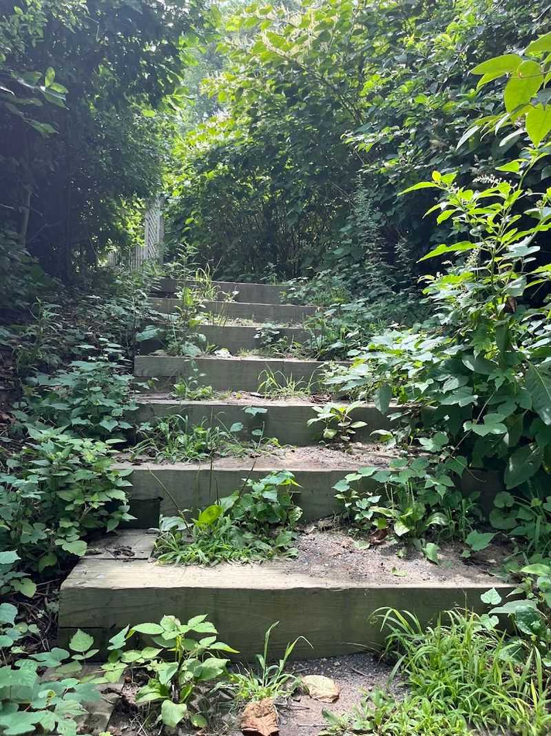 One Short Walk Leads Somewhere Unexpected