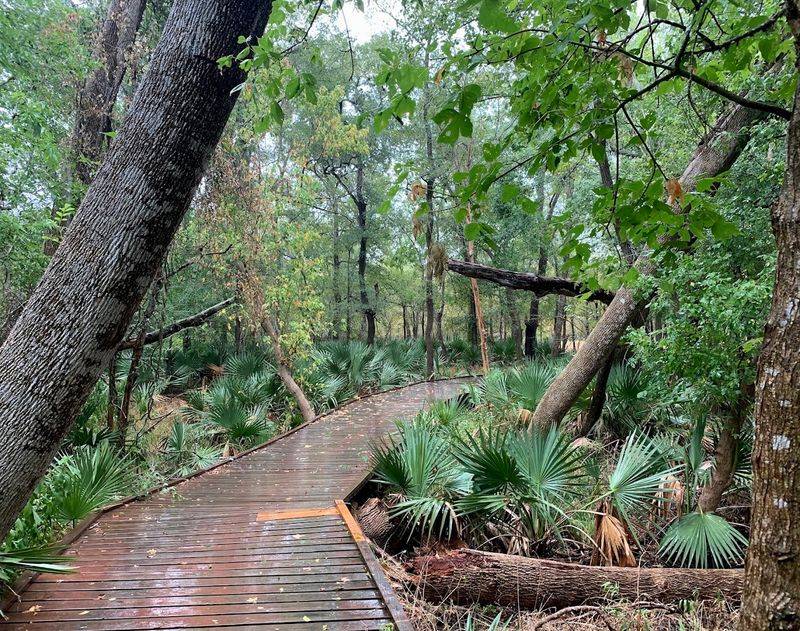 Ottine Swamp Trail Ottine Swamp Trail