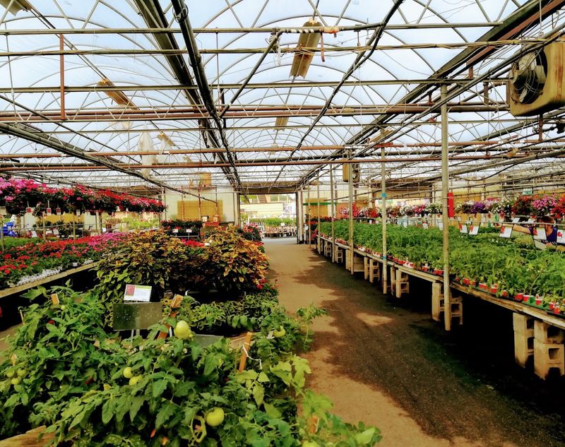 Outdoor Plants and Garden Supplies For Every Season