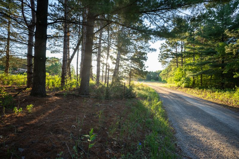 Outing Road, Cass County