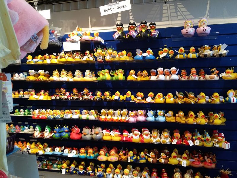 Over 1,000 Rubber Ducks and Counting