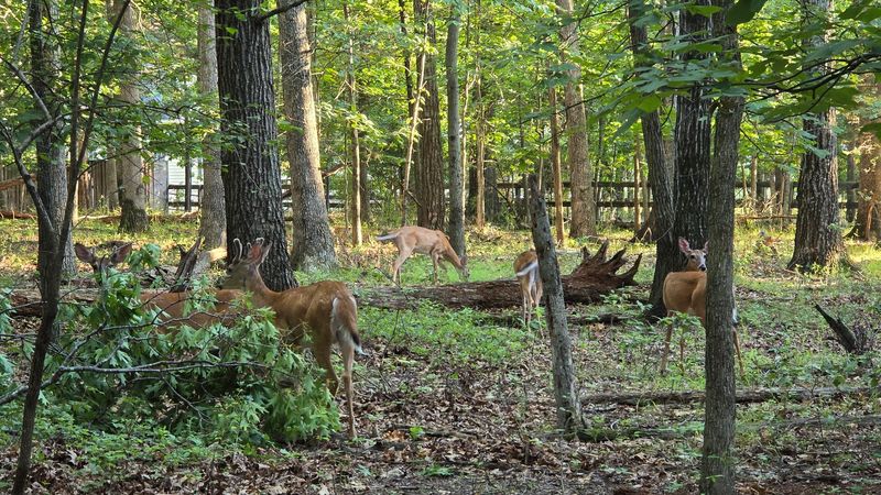 Over 11 Miles of Trails Through Forests, Meadows, and Ponds
