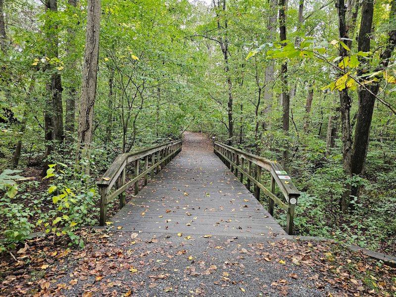 Over 20 Miles of Trails That Reward the Curious and the Casual Alike