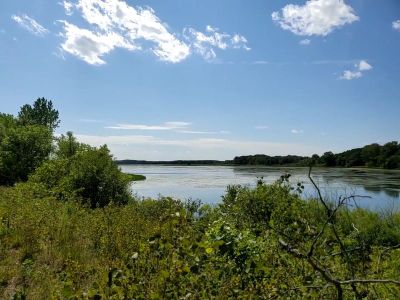 Over 272 Bird Species and Counting Over 272 Bird Species and Counting
