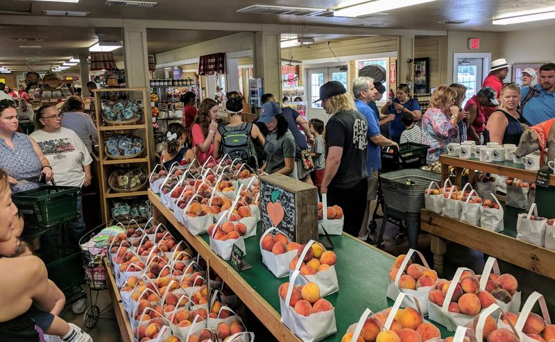 Over 30 Peach Varieties and the Art of Waiting for Ripeness Over 30 Peach Varieties and the Art of Waiting for Ripeness