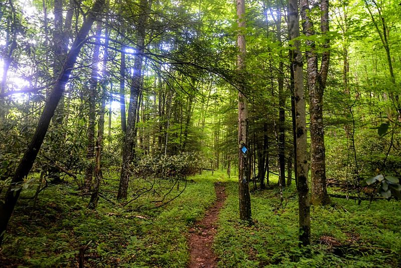 Over 800 Miles of Trails Waiting for Your Boots Over 800 Miles of Trails Waiting for Your Boots