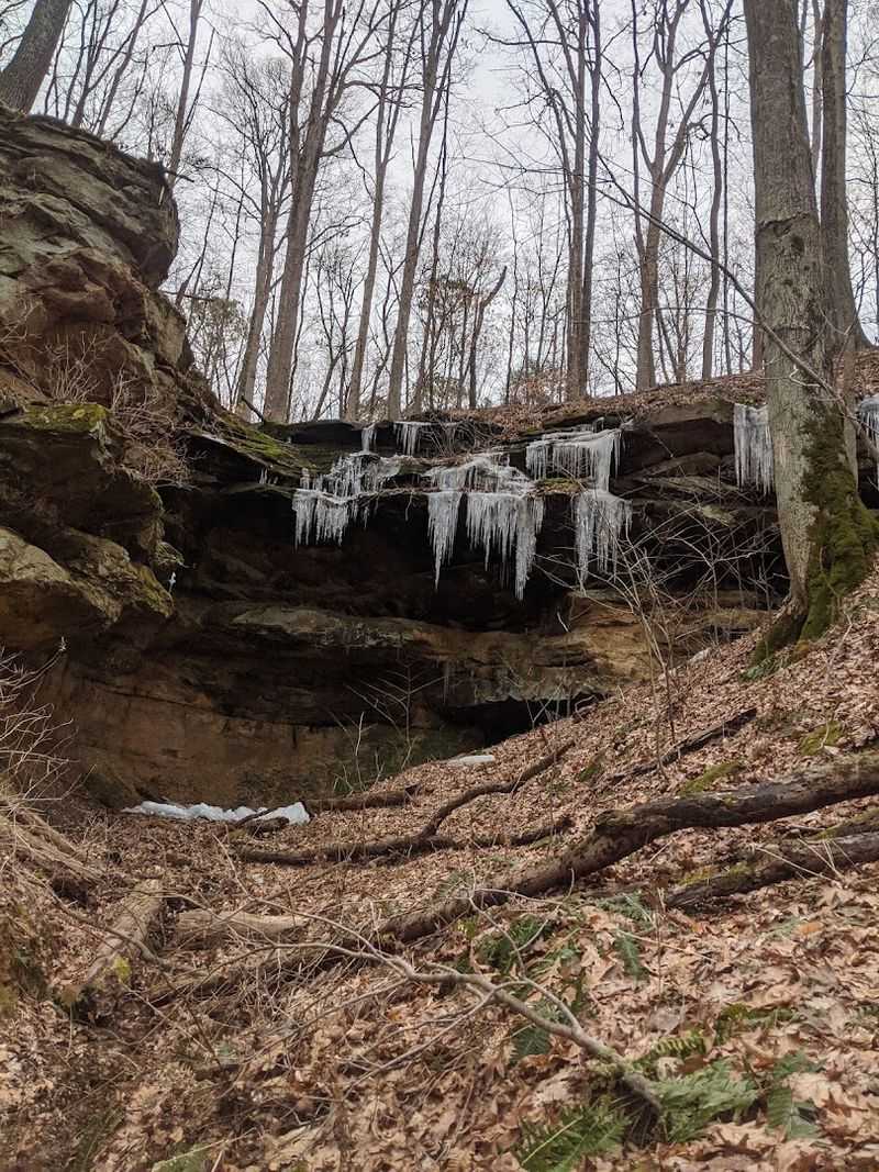 Owen-Putnam State Forest