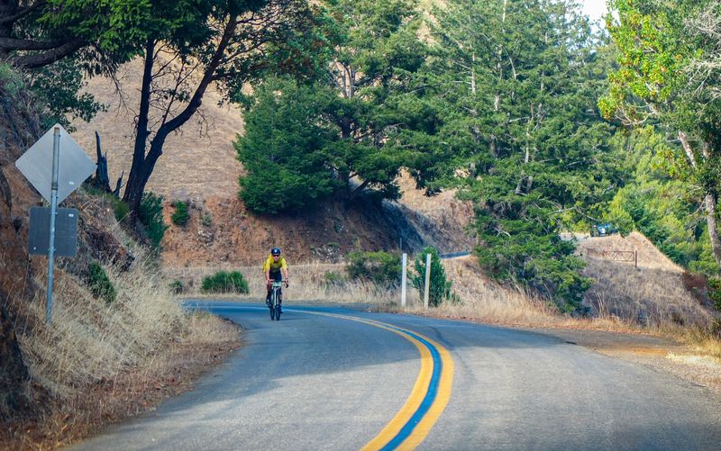 Pacific Coast Highway Bike Route, Oregon Coastline, Oregon