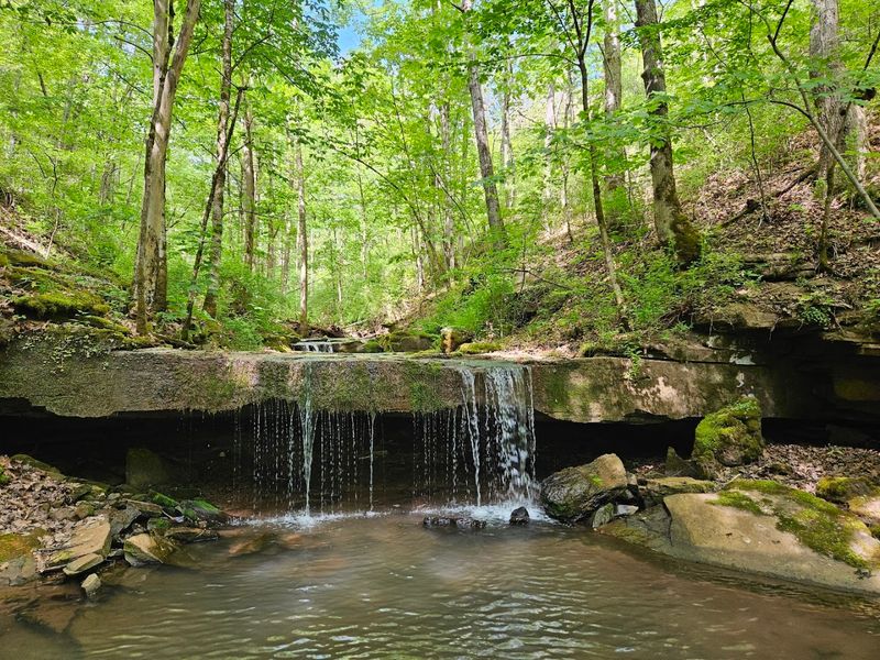Paddle, Hike, or Simply Breathe