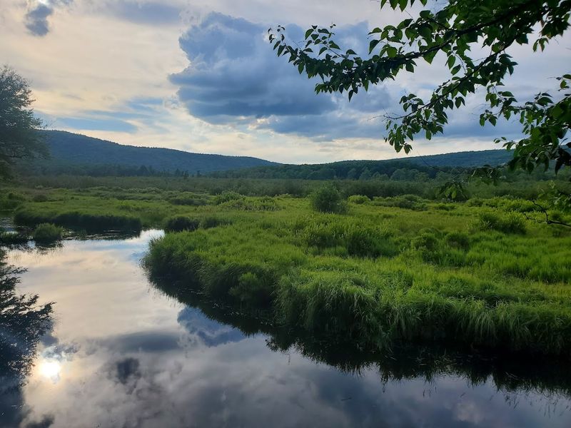 Paddling And Fishing On The Serene Waters
