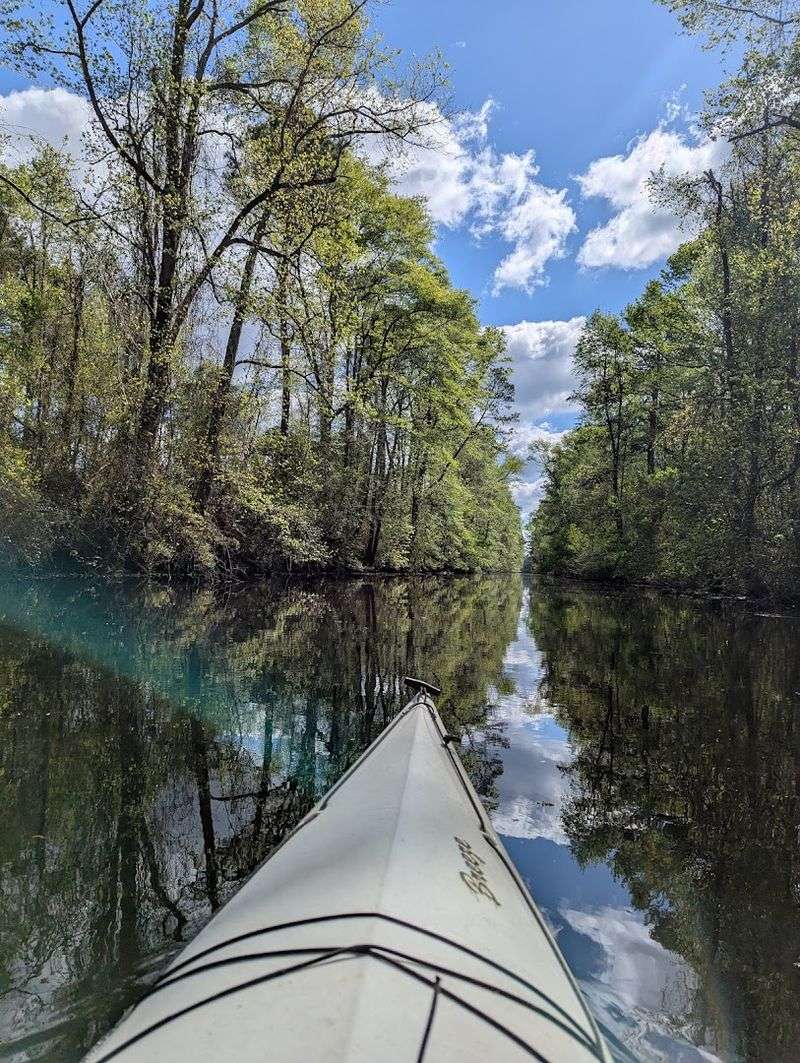 Paddling Into the Heart of the Swamp