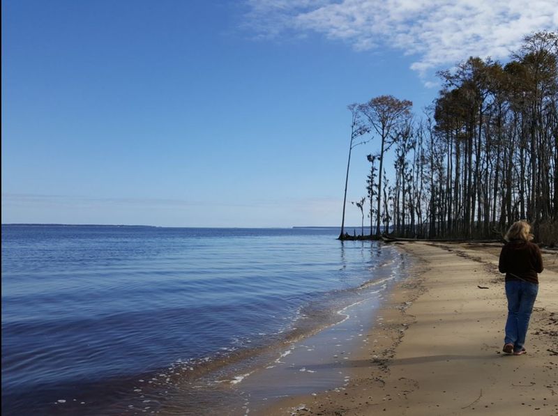 Paddling and Fishing on the Pamlico River Waters Paddling and Fishing on the Pamlico River Waters