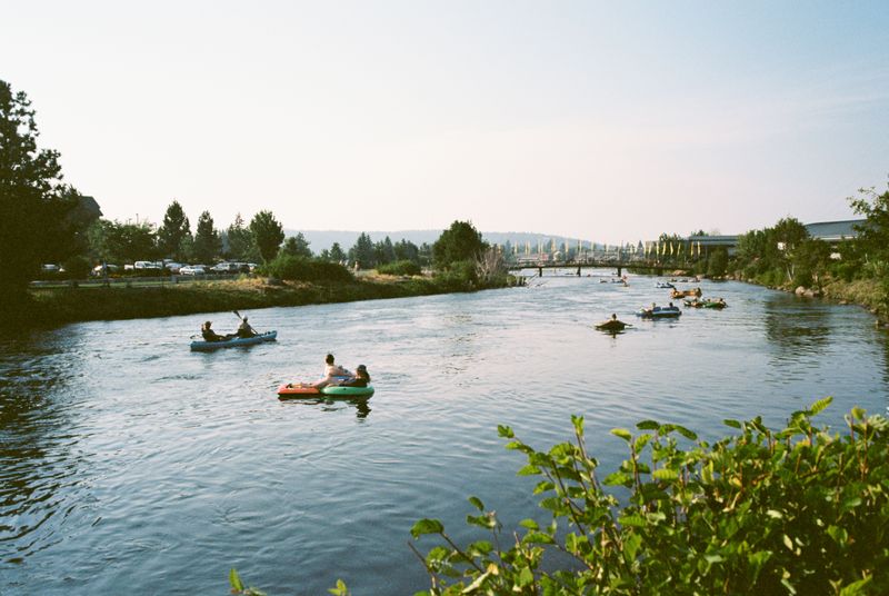 Paddling and Wildlife Spotting Along the Riverbank