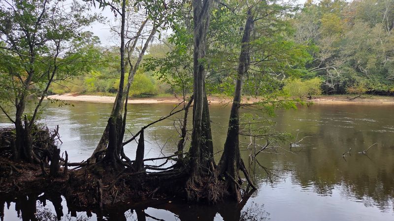 Paddling the Edisto River Canoe and Kayak Trail Paddling the Edisto River Canoe and Kayak Trail