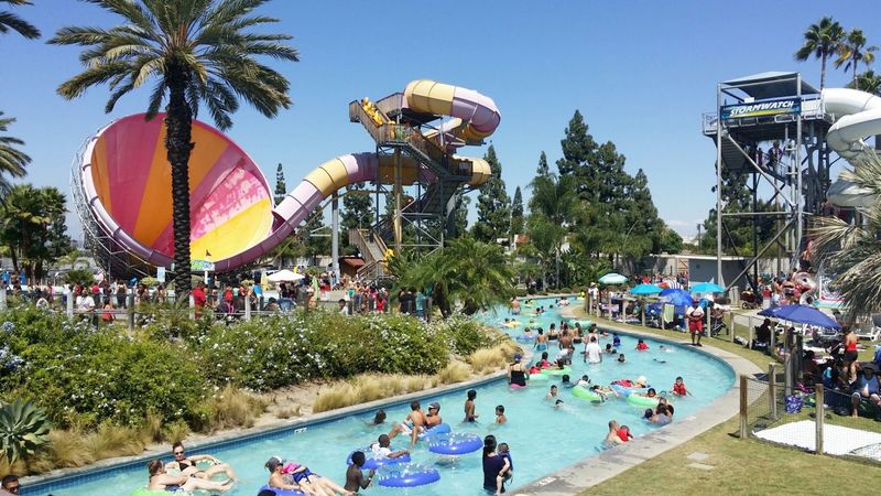 Palm Trees and Rock Formations, The Tropical Scenery That Sets This Lazy River Apart Palm Trees and Rock Formations, The Tropical Scenery That Sets This Lazy River Apart