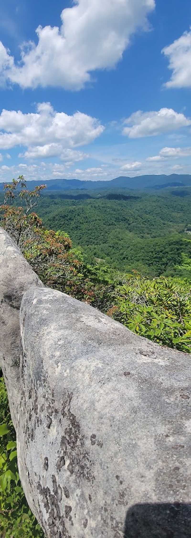 Panoramic Overlooks That Stop You Dead in Your Tracks