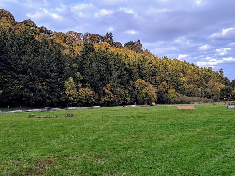 Parks And Green Spaces That Keep Life Balanced Parks And Green Spaces That Keep Life Balanced